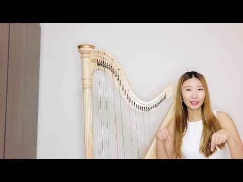 ♥︎豎琴教學♥︎Non-Pedal Harp Scales Lever Setting by Rachel Chiu 豎琴