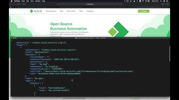 Activiti Cloud Kubernetes Operator