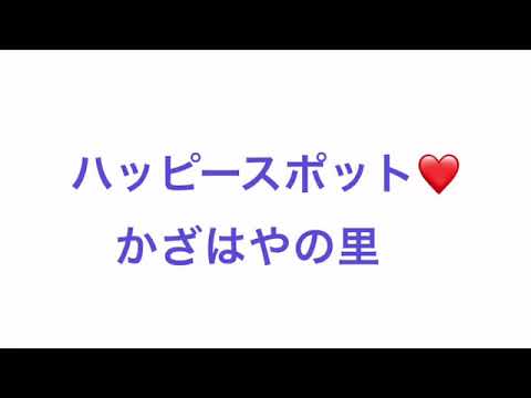かざはやの里の2021あじさいの様子を豊田様に撮影頂きました。