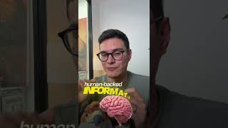 The Black Friday Ai Seo Playbook