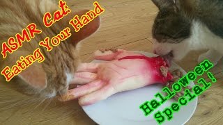 *Halloween Special* | ASMR Cat: Eating Your Hand & Bubbling, Fizzing Cauldron (no talking) by ASMR Cat Sounds 1,014 views 7 years ago 6 minutes, 40 seconds