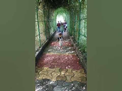 mukundpur chidiya ghar - YouTube