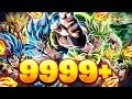 9999 stones 9th anniversary gogeta blue  broly summons dbz dokkan battle