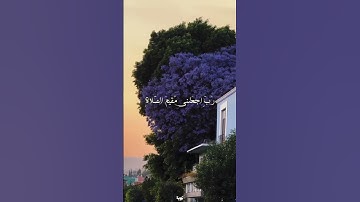 تلاوة|للشيخ|محمد صديق المنشاوي|رحمه الله|#quran_kareem#قران#quran#اكسبلور#تلاوة#المنشاوي#القرآن|