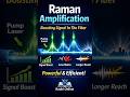 Raman Amplification Explained in Fiber Networks
