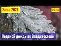 Ледяной дождь во Владивостоке, начало Зимы 2021 апокалипсис, явления природы, стихийное бедствие