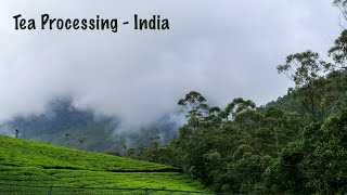 Tea Processing | Kerala | India