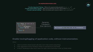 Go Dynamic Structured Logs Demo