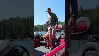The Best Dog Setup for Bass Fishing Trips (Boat-Ready Crate)
Boat packed. Rods ready. Dog secured.
Collapsible. Aluminum. Built for the ride.
#ImpactDogCrates #DogTraining #CrateTraining #DogWellness The Best Dog Setup for Bass Fishing Trips (Boat-Ready Crate)