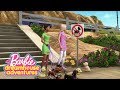 Tous les chiens vont  la plage  barbie dreamhouse adventures  barbiefrancais