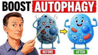 The 7 Powerful Ways to Increase Autophagy