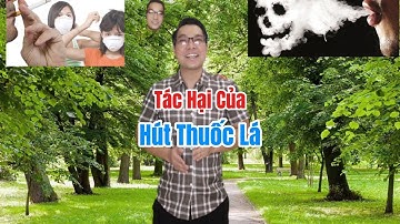 Tác hại của hút thuốc lá #shorts #video #thevinhofficial #shortsviral #shortsyoutube