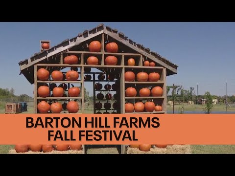 Video: Visitando Apple Hill Farms en otoño