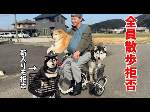 もちごめ兄弟ちゃんねる - YouTube