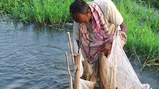 Fish Trap Homemade with Net || Village Man Catching Small Fish after Rain || Fish Trap Part- 14