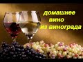 ВИНО из ВИНОГРАДА // Простой Рецепт // Домашнее Вино