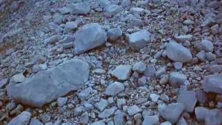 [HD] Mt. Welirang 3156masl Trail Running