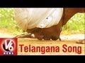 V6 telangana song  isuka tennelalo gauramma  v6 exclusive