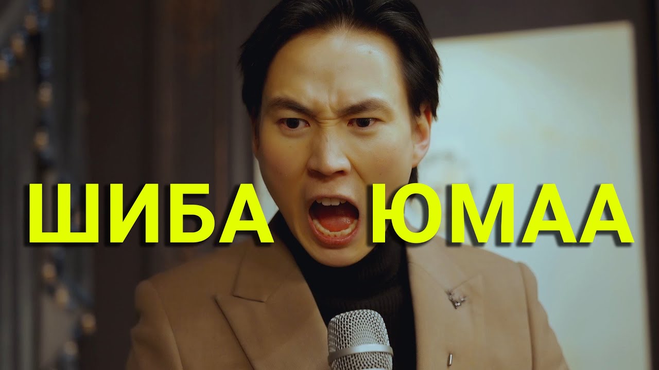 ШИЛДЭГ ХӨТЛӨГЧ