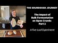 The Impact of Bulk Fermentation on Open Crumb - Part 2: Bulk Fermentation