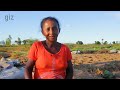 Culture maraîchère avec utilisation du compost