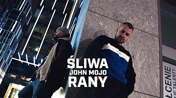 Śliwa ft. John Mojo - Rany