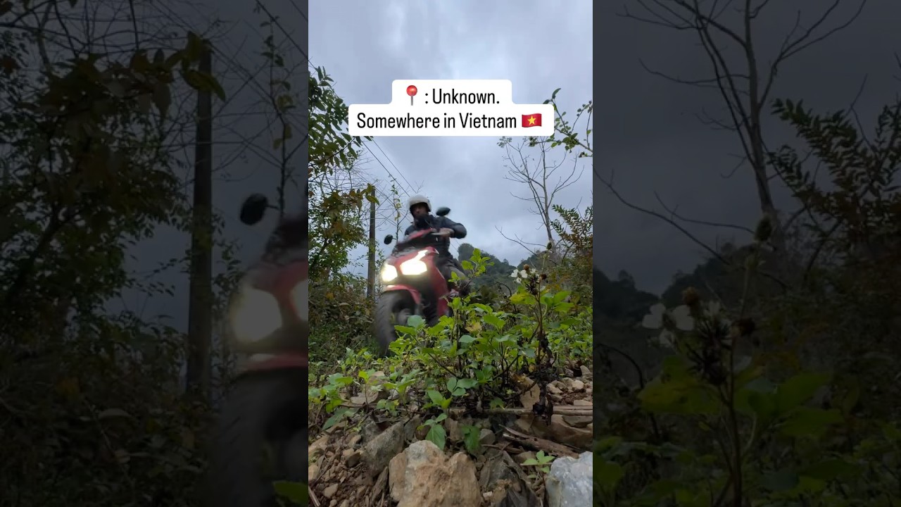 Google Maps sent me in the Woods (Send help)