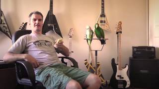 lambchopper's faq#2 with ollie & sid - strings, picks, first guitar and hearing tips