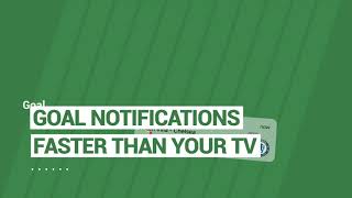 Follow all the latest English Premier League football scores, fixtures, stats, and more.