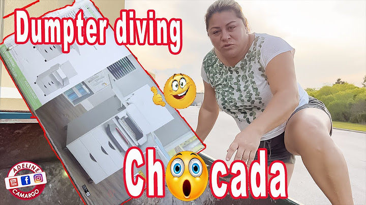 Super dumpster diving é inacreditável oque encontrei no lixo das lojas usa | Adeline Camargo