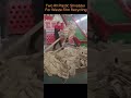 Heavy-Duty Agricultural Film Recycling | Double-Shaft Shredder & Conveyor System 🚜♻️