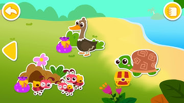 GẤU TRÚC KIKI||CUỘC PHIÊU LƯU TRONG RỪNG CỦA GẤU KIKI || BEAR KIKI|| ADVENTURE IN FOREST