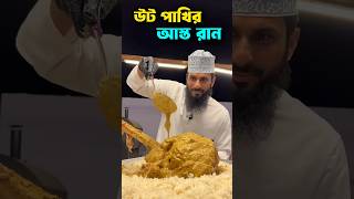 উট পখর আসত রন খ