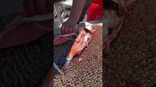 Rate This Fish Fillet Today