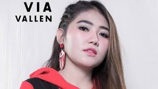 D'ViVa Dawai Record The Best Via Vallen ' Damai Di Surga ' DPM DANGDUT