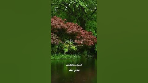 قران كريم ارح قلبك وسمعك #قران #quran #سعد_الغامدي #راحة_نفسية #المصحف @قران_في_دقيقة #لايك