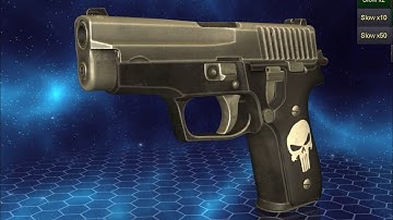 SIG SAUER P228 (field strip, disassembly, assembly and operation)