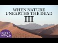 When Nature Unearths the Dead III