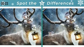 Spot the difference #38 | Winter Edition