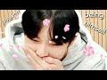 jungwon being himself for 8 minutes straight (ft. enhypen/members)