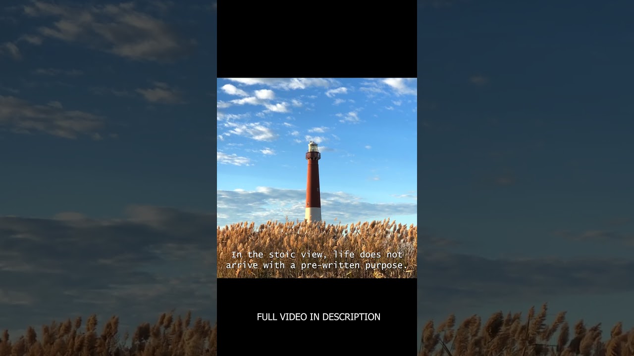 The Stoic Meaning of Life (30s Wisdom)