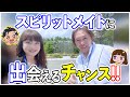 【スピリットメイト】スピリットメイトに出会えるチャンス！【出会い　チャンス】 【जापान】【यात्रा】