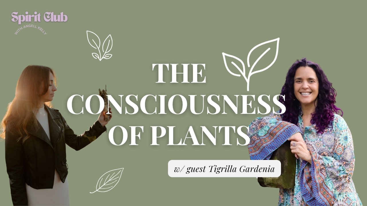 73: The Consciousness of Plants w/ Tigrilla Gardenia - YouTube