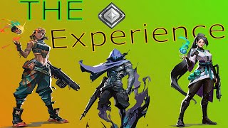 The average silver experience