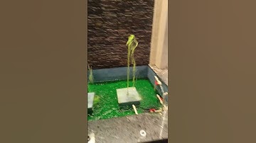 @Plumb perfect#plumbingservices #plumbing #plumbingsolution #water 💦💦💦