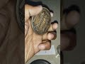ram#sita#coin #needle #test #ujala #test #washable #concert9699268168