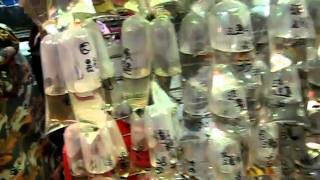 MVI_2911.AVI