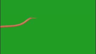 Naagin Snake Tongue  1 Animation On Green Screen By ZQs Edits