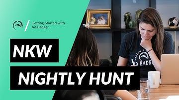 Getting Started with Ad Badger: Negative Keyword - Nightly Hunt