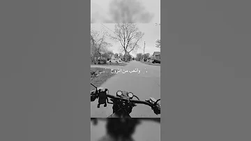 ماخذ كلبي وشاغل بالي واتعب من اتروح وبس انت الرايد تبقالي مرجانيا تصميمي Reels حالات واتس 